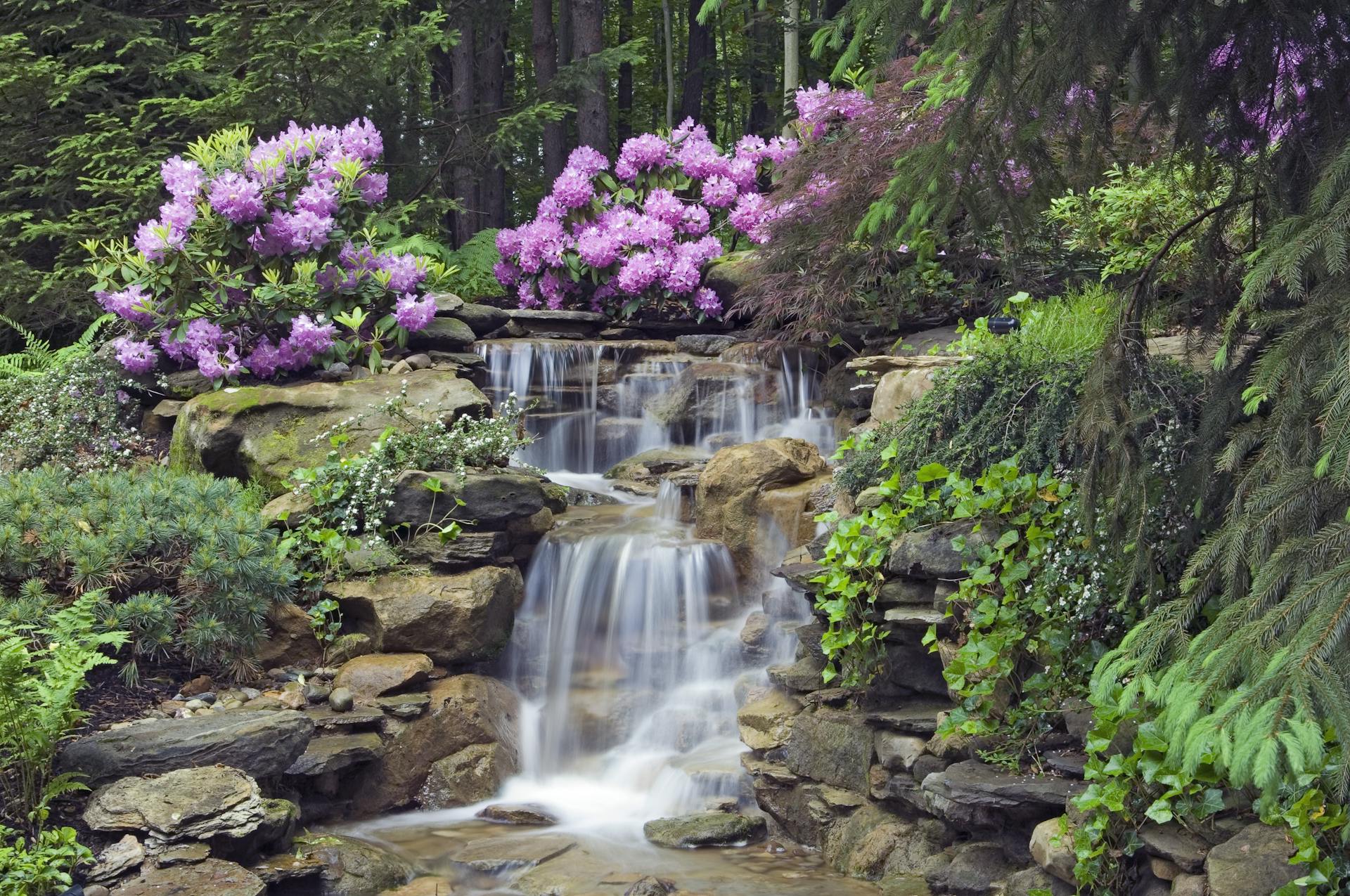 Waterfall in a garden