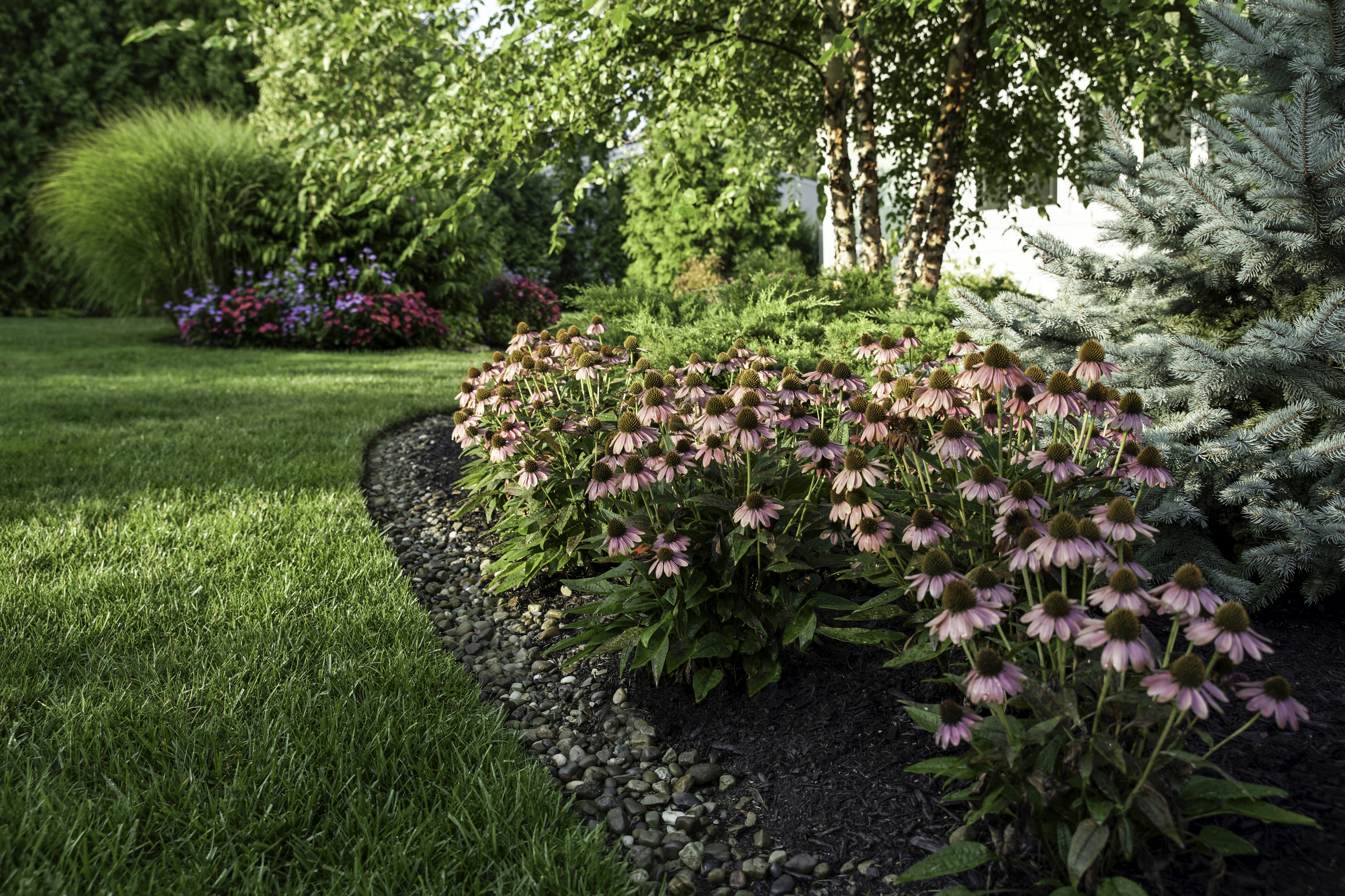 A yard with a garden, bushes, and trees