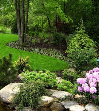 Photo of a garden with trees and flowers