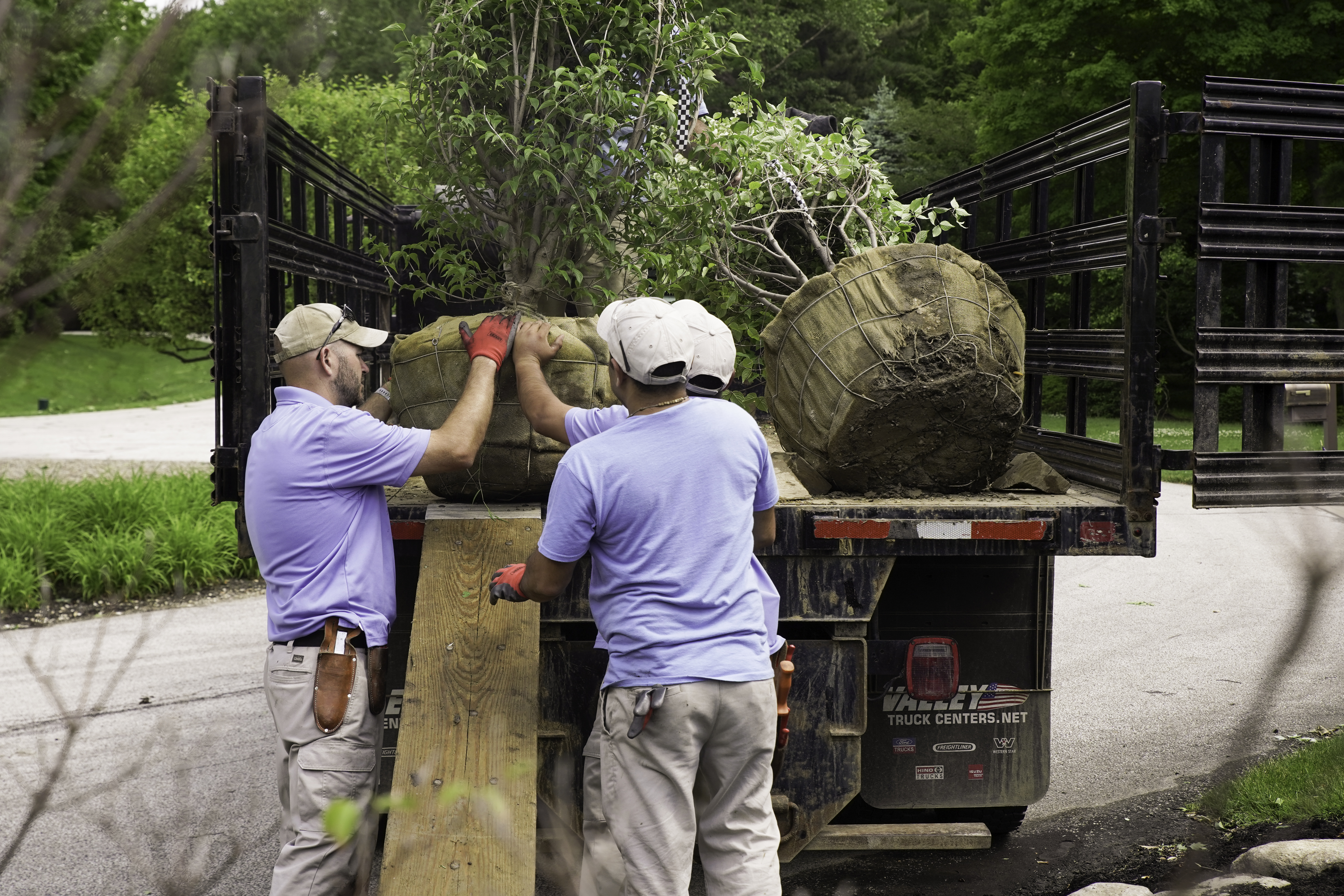 Pattie Group helping a customer