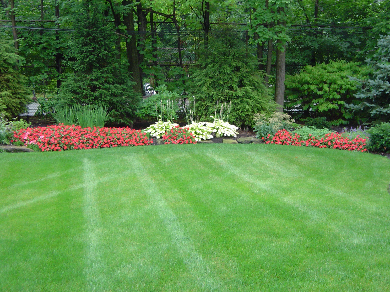 landscape management services